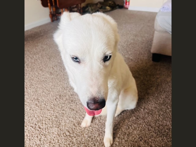 Luna